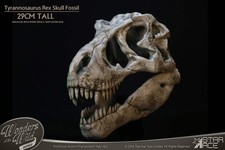 STAR ACE Wonders of the Wild Series Tyrannosaurus Rex Skull Fossil Replica NEW