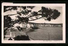 Cadaques, aricias del ramaje, cartolina 