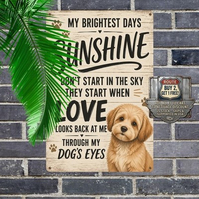 Sunshine Shih Tzu Dog Eyes Metal Sign Retro Pet Lover Wall Plaque