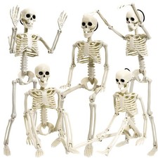 5 Pack Halloween Skeleton Decoration,16" Full Body Posable 16 inches, 16"