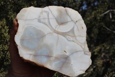 BEAUTIFUL - MINERAL - LUNA  AGATE - Catron County, New Mexico -
