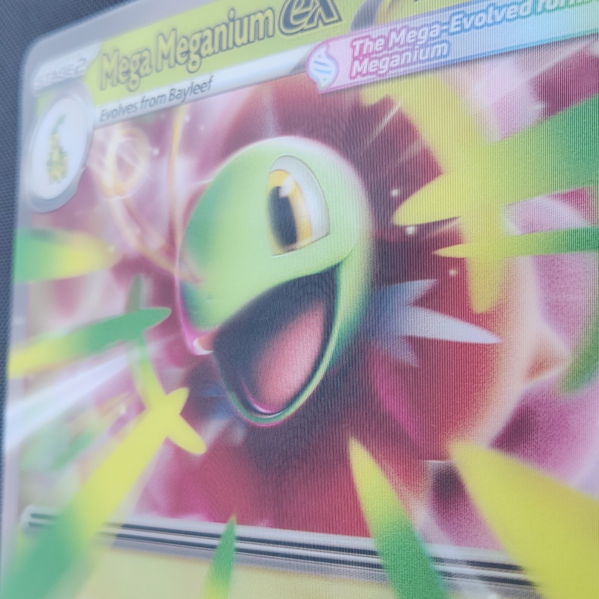 Jumbo Lenticular Mega Meganium ex MEP 034 Black Star Promo ASC