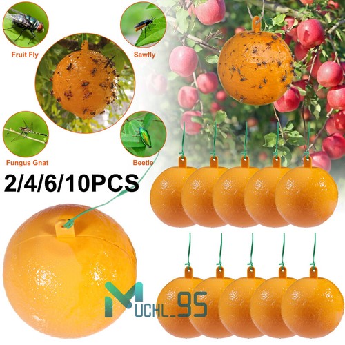 Fruit Fly Traps Sticky Traps Gnat Traps Flying Insects Glue Sticker Trap Balls - Picture 3 of 34
