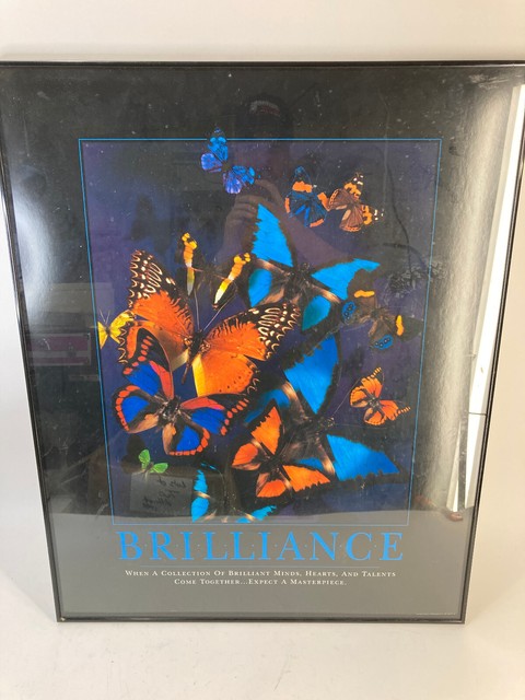 Butterfly Brilliance Motivational Framed Poster Classroom Doctors Office Dentist Butterfly Brilliance Motivational Framed Poster Classroom Doctors Office Dentist