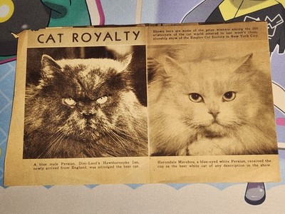 Antique Folded* Newspaper Clipping ''CAT ROYALTY'' Cute, Rare, One Of A Kind Gift!