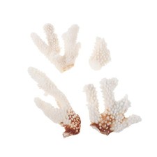 Coral Piece for Aquarium Fish Tank Reef Decor Branch Landscape Ornament
