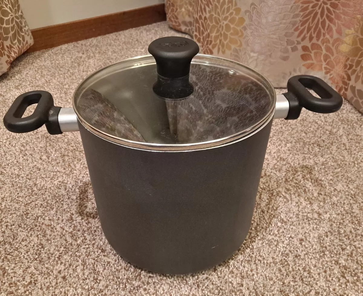 8qt Non-Stick Stock Pot with Glass Lid