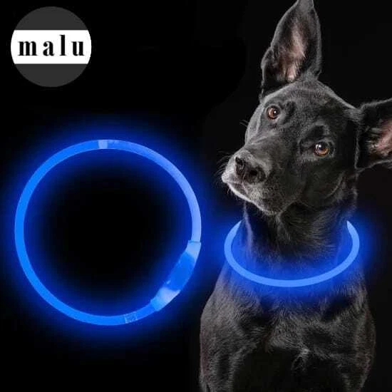 LED Leuchthalsband LED Hundehalsband zuschneidbar Blinklicht USB wiederaufladbar - Bild 4 von 4