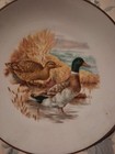 Vintage Mallard Duck Plate Western Germany — photo 2