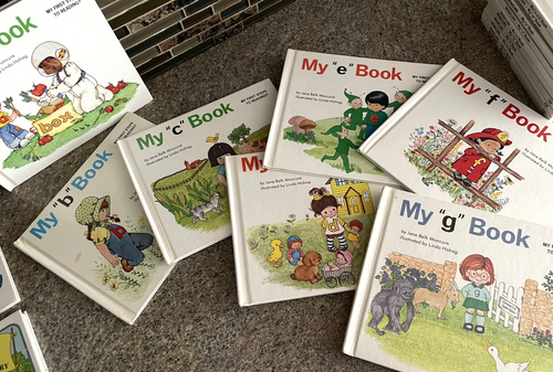 My First Steps to Reading 23 Books Includes "My First Book" & "Here Comes Parade - Foto 10 di 14