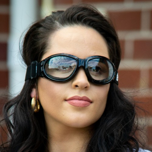 Birdz Eyewear Bald Eagle Padded Motorcycle Riding Safety Goggles Black w/Clear - 第 9/9 張圖片