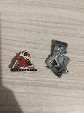 Lot 2 Broches Insigne ESF La Fléchette