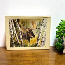 Lang Company Moose in the Birch Grove Bookmark 14 Deluxe Note Cards 10 Envelopes