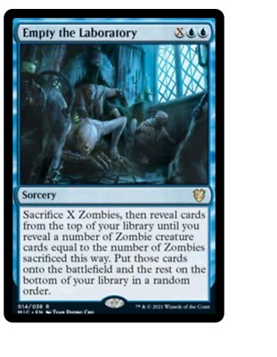 Empty the Laboratory + 10 Random Rares MTG Magic the Gathering Gift Set Lot