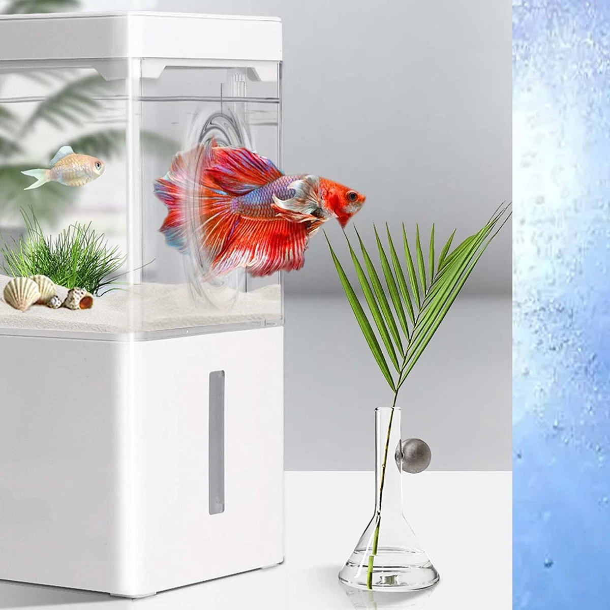 Mini Fish Tank with Filter and LED Light 1 Gallon Betta Aquarium Tropical  Freshw