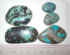 Turquoise Stone Flat Free Form Cabochon 220 Carat 5 pieces 44 gram Lot B