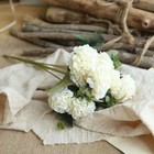 Bild 13 von 22