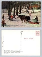 Winter Scene with Horses and Maple Syrup Tapping Postcard Ozzie Sweet Photo