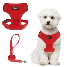 PUPTECK Small Dog Harness & Leash Set, No Pull Adjustable Puppy Cat, Reflective