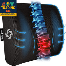 Ergonomic Lumbar Support Pillow for Office Chair, Gaming Chair, or Car, Memory F