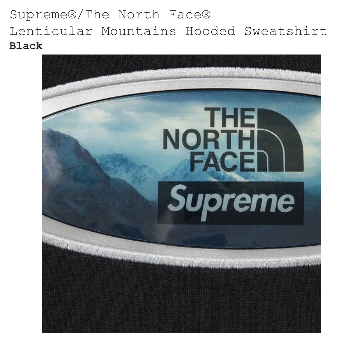 Supreme x The North Face Lenticular Mountains Hooded Sweatshirt White Mens  SizeL