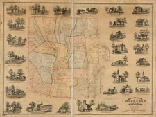 1853 Map of the town of Woodbury, Litchfield County, Connecticut - 18x24 Inch