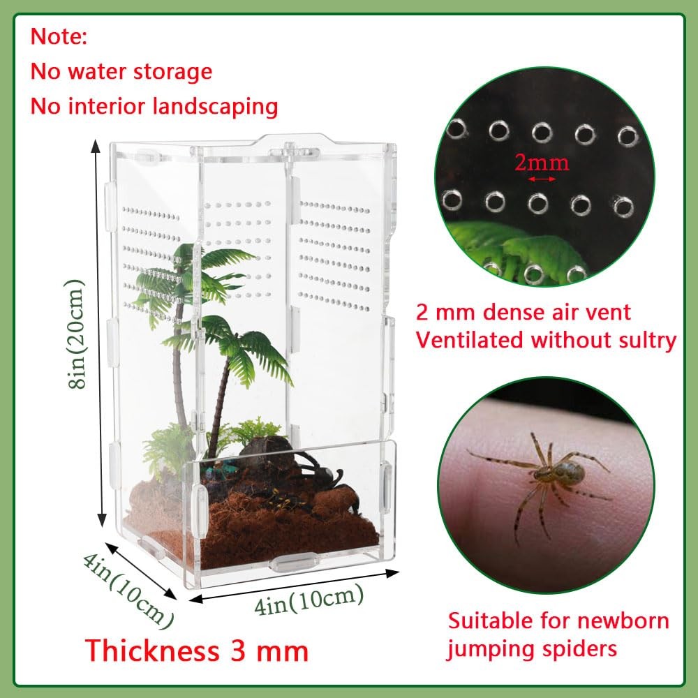 Acrylic Vivarium 8x4x4 Inch Rectangular Enclosure Tarantula Lizard Snake Pet