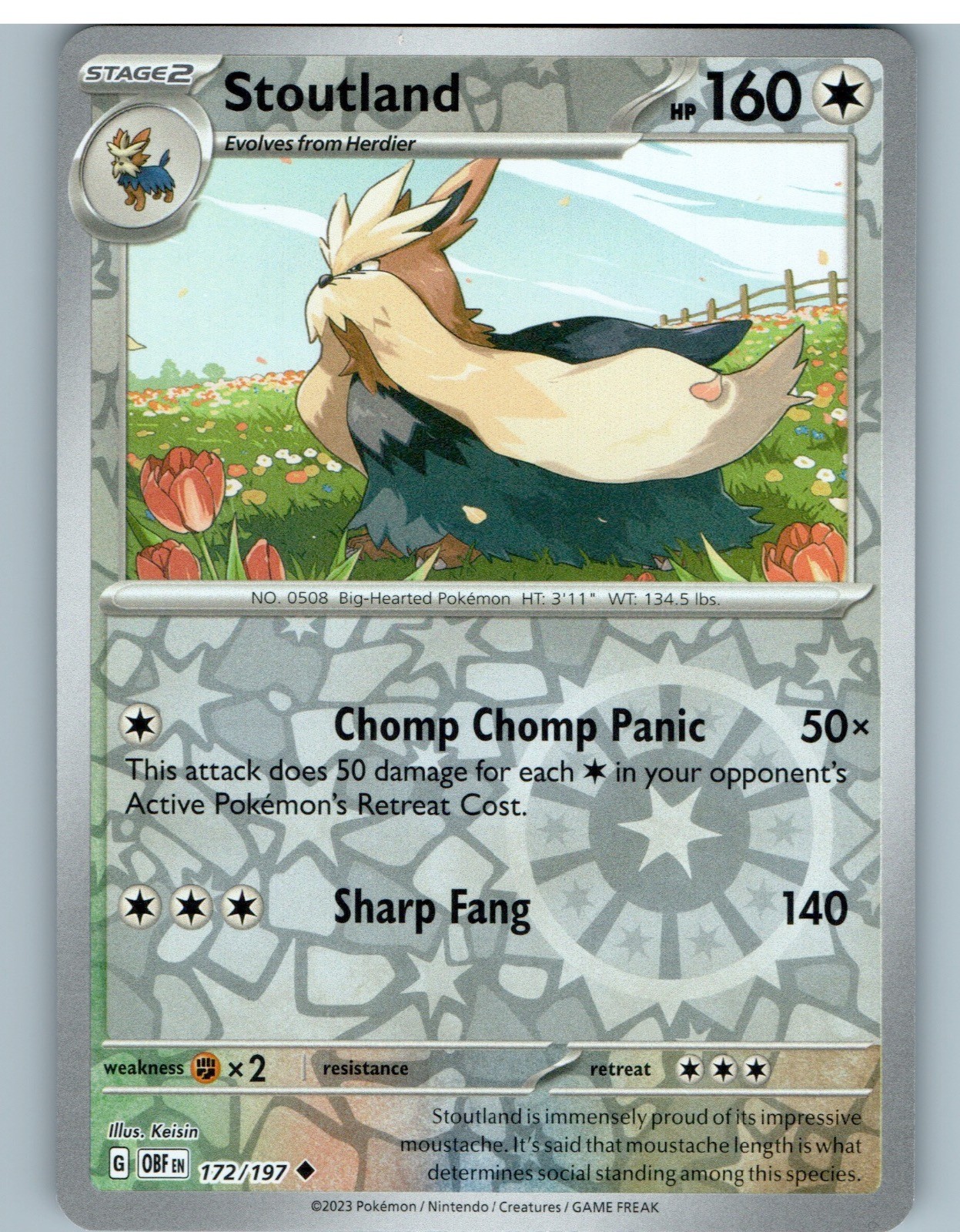 Stoutland 172/197 Uncommon Obsidian Flames Pokemon Reverse Holo Near Mint