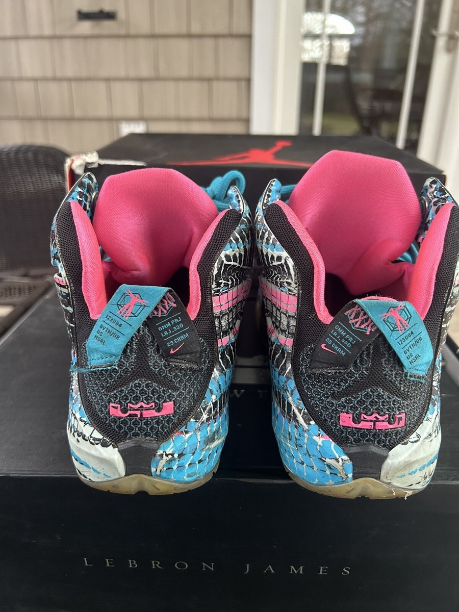 Size 8.5 - Nike LeBron 12 23 Chromosomes for sale online | eBay