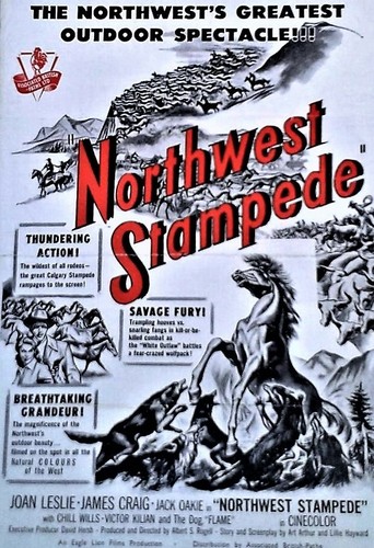 Original British Film Poster - 'Northwest Stampede ' (1948) - Imagen 3 de 3