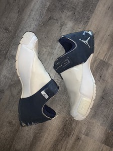 roy jones jr jordan trunner