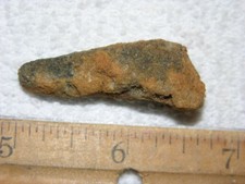 Dinosaur fossil tooth Spinosaurus Cretaceous Era bigger 1.5 inch long D53