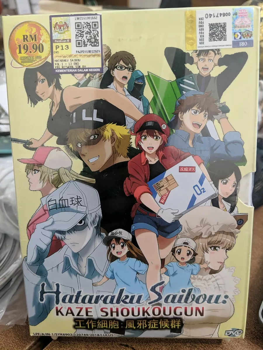 DVD Anime Hataraku Saibou /Cells at Work Complete Series (1-13) English  Subtitle