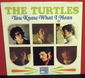 Picture Sleeve Only THE TURTLES You Know What I Mean WHITE WHALE ...