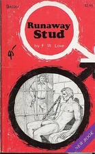 1979 -RUNAWAY STUD- GREENLEAF AC201 Vintage GAY Sleaze Paperback Book - LGBTQ+