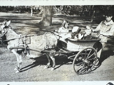 Vintage Photo Children In Donkey Cart Ride Amusement Park Or Petting Zoo Scene