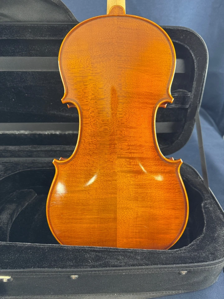 Viola Eastman VA100 con estuche (sin arco), 14 pulgadas, etiquetada "Concierto" 2005 Foto 4 de 4
