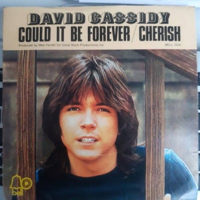 David Cassidy - Could It Be Forever / Cherish (VINYL)