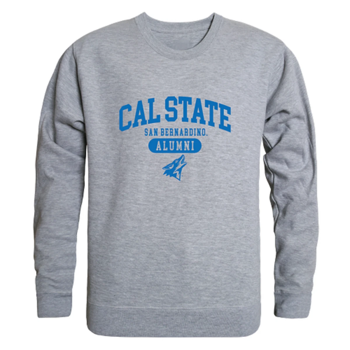 Csusb sweatshirt online