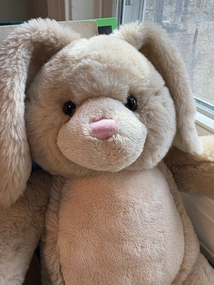 Bunny Bear クリーム色 ぬいぐるみ Build-A-Bear Vanilla Cream 2012 Bunny Rabbit Rare/Retired | eBay