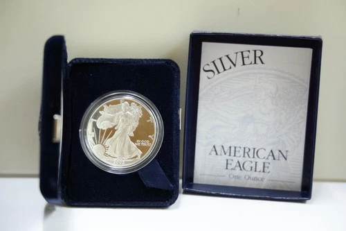 2002-W American Silver Eagle Proof — photo from another recent sale