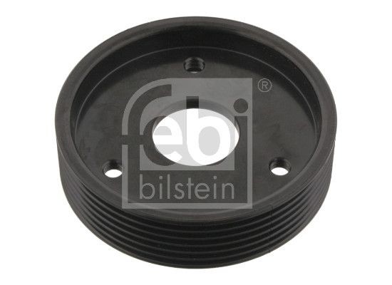 Febi Bilstein Pulley Power Steering Pump 29501 for Renault