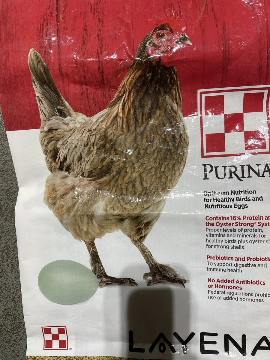 Feed store bag crafts