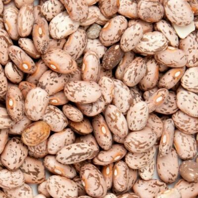 Pinto Beans 