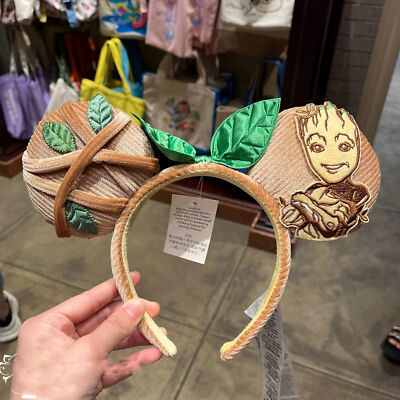 NWT Disney Parks \