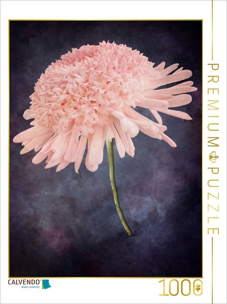 Calvendo Puzzle Dahlia | 1000 Pieces, Finished Size 25.2 × 18.9 In (64 × 48 Cm)-image