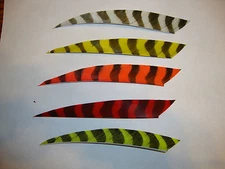 5.5 in Trueflight Feathers Barred Traditional cut LW 1 Doz