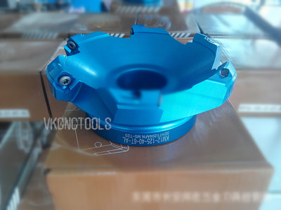 D125mm 45Deg Light Aluminum Alloy Face Mill Cutter for SEHT1204/SEHT43AFFN 