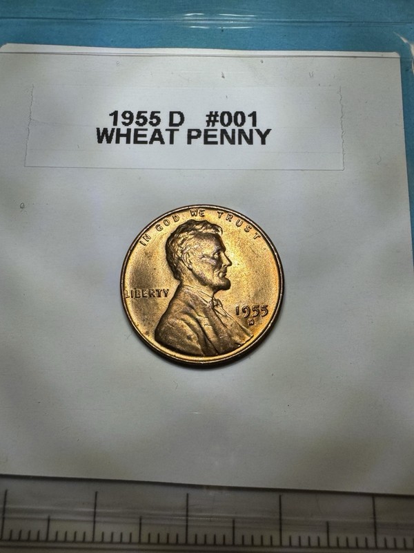 1955-D Lincoln Wheat Small Cent Bronze RB Business Strike KM#132
