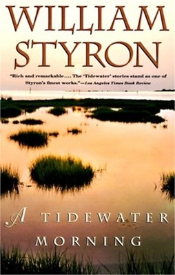A Tidewater Morning (Paperback or Softback)